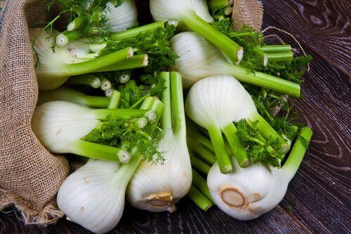 mide gazı için rezene