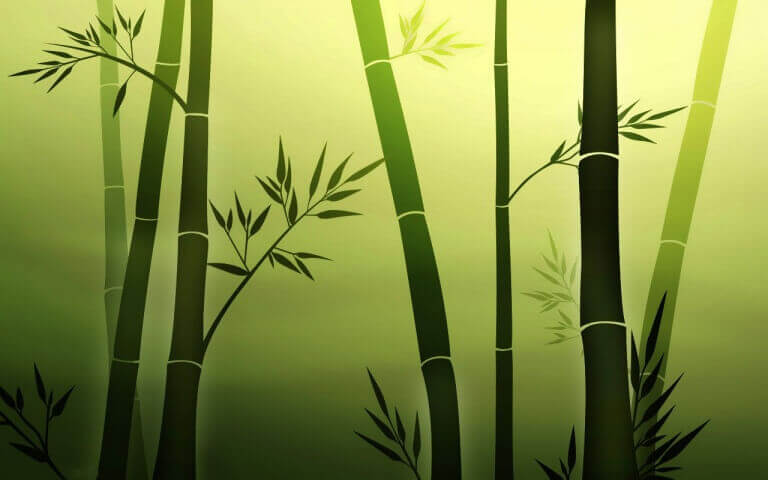 bambu resmi