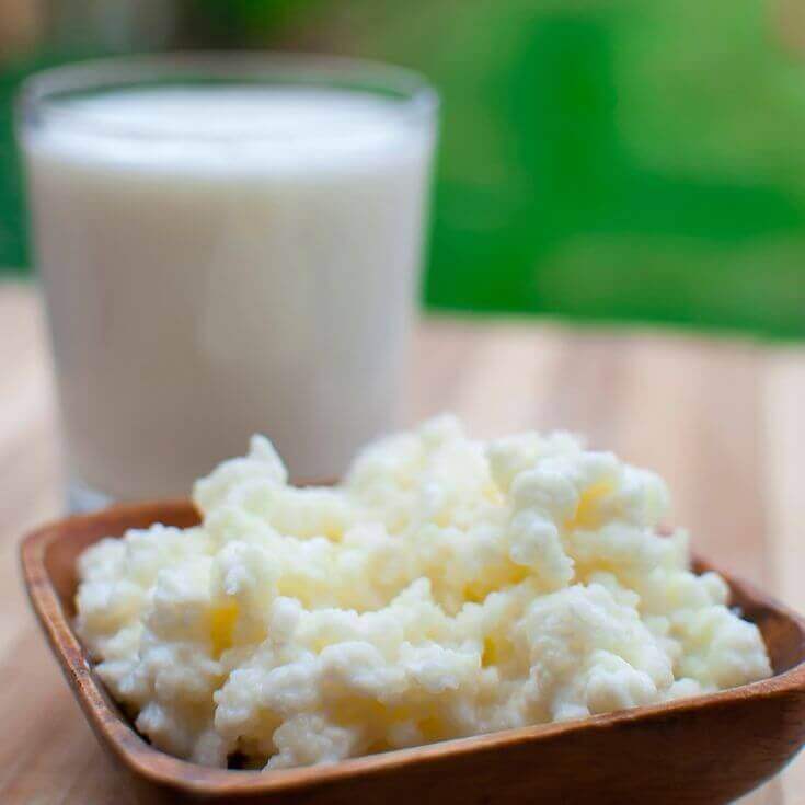 bağırsak florası için kefir