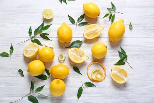 limon ağacı yaprakları ve limonlar