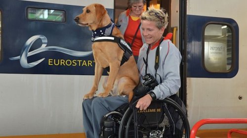 Marieke Vervoort ve köpeği