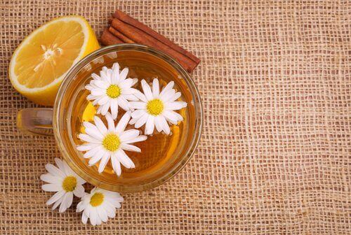 bardağın içindeki papatyalar ve masanın üzerinde bulunan yarım limon