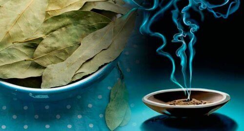 Anksiyeteyle Mücadele Etmek İçin Defne Yaprağı