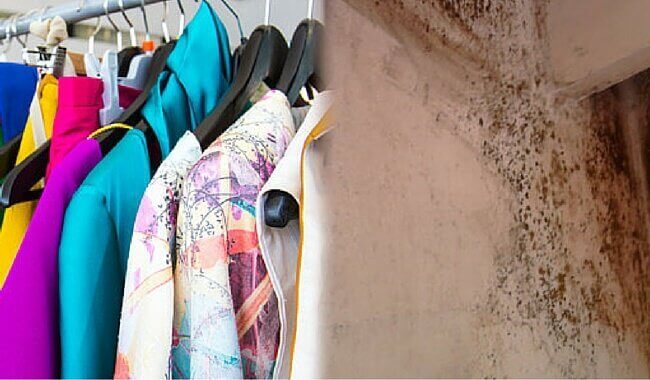 kıyafetler ve küflü duvar