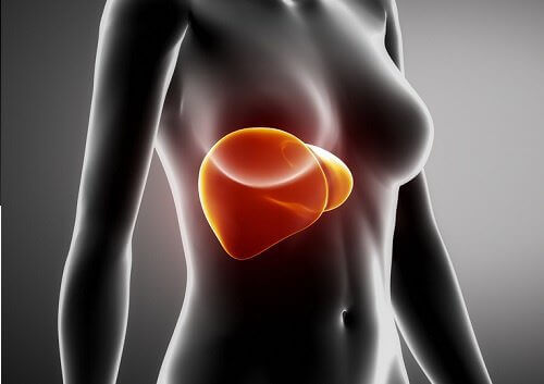 Karaciğer Sağlığı İçin Kahvaltıda Ne Yemelisiniz?