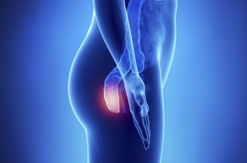 Anüs Kanseri Hakkında Bilmeniz Gereken 5 Şey