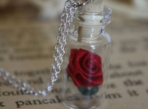 şişe içinde gül