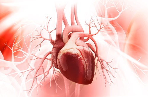 Kırık Kalp Sendromu ve Üstesinden Gelmenin 5 Yolu