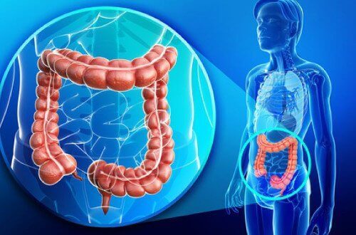 Kalın Bağırsak: Doğal Yollarla Nasıl Temizlenir?