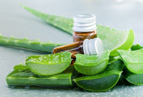 aloe vera jel