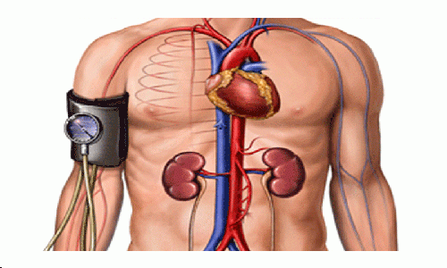 Kan Basıncını Kontrol Etmenize Yardımcı 7 Yiyecek