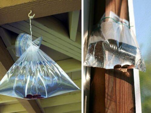 sinekler için votka