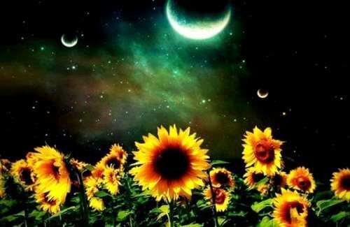 Duygusal Boşluk İle Mücadele İçin İçinizdeki "Size" Bağlanmanın 5 Yolu