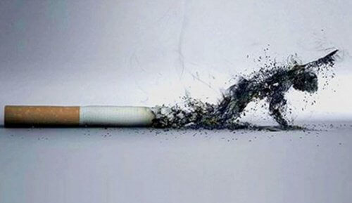 Sigarayı Bırakmak Dış Görünüşünüzde Neleri Değiştirir?