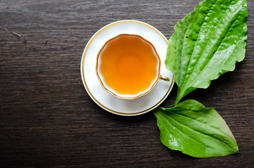 kabızlık giderici bitkiler