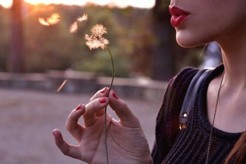 Yaşama Dair Üç Gerçek Kanun ve Düşünce