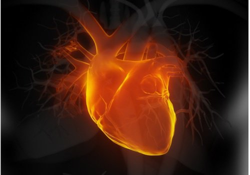 Kalp Yetmezliği: 6 Erken Belirti