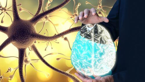 Sağlıklı Bir Vücut İçin Vagus Siniri Nasıl Uyarılır?