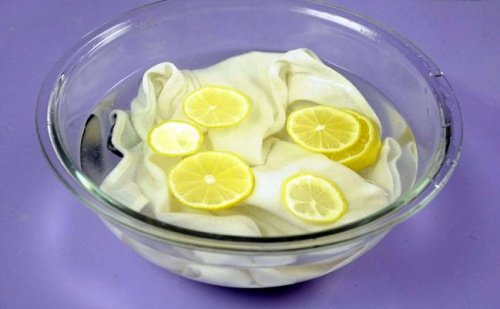 limon dilimleri