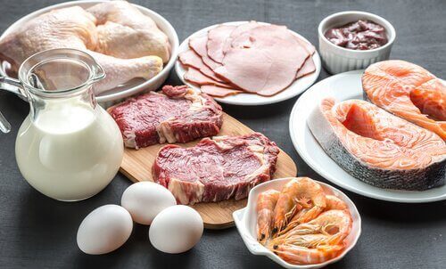 protein kaynağı besinler