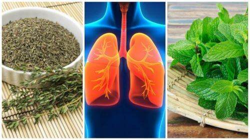 Akciğer Sağlığını Korumak İçin 8 Bitki