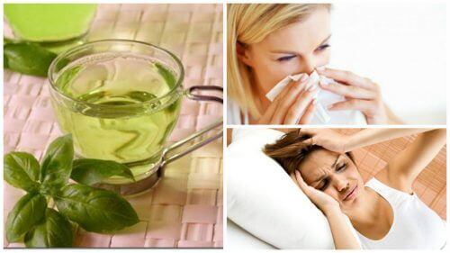 Her Gün Fesleğen Çayı İçmenin 8 Faydası