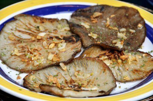 Kavak Mantarı ile Bağışıklık Sisteminizi Doğal Olarak Güçlendirmeye Başlayın