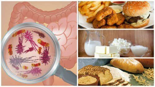 Bağırsak Sağlığınız İçin Kötü Olan 7 Yiyecek