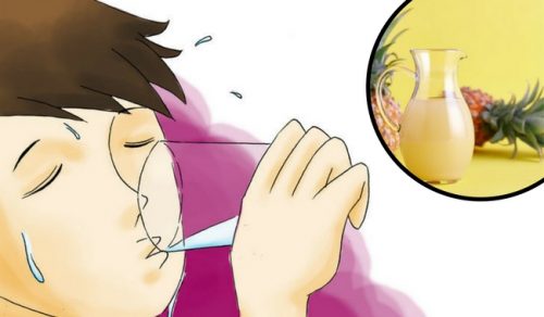 Ananas Kabuğu ile Bağırsak Floranızı Yenileyin