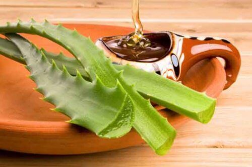 aloe vera dalları