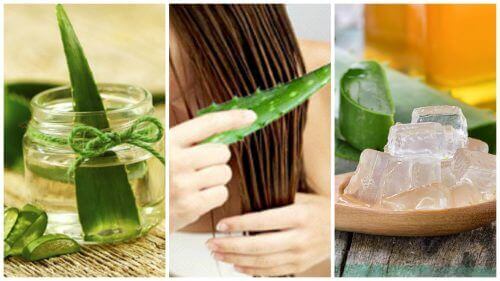 Saçlarınızı Güçlendirecek 5 Aloe Vera Bakımı