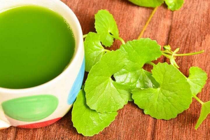 gotu kola suyu