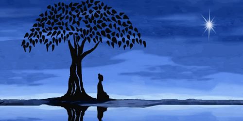 ağacın altında gece meditasyonu