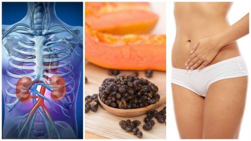 Papaya Çekirdeklerinin Faydalarını Keşfedin