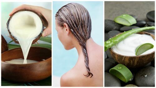 Bu Aloe Vera ve Hindistan Cevizi Sütü Reçetesiyle Saç Dökülmesiyle Savaşın