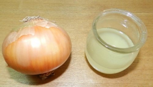 soğan