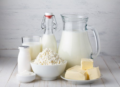 peynir, süt ve diğer süt ürünleri