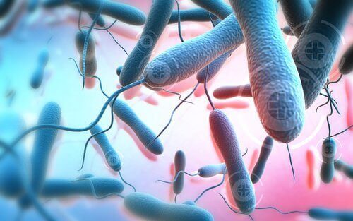 mikroskobik toksinler