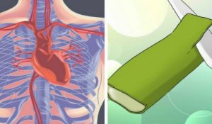 Aloe Vera Bitkisi İle Kalbinize İyi Bakmak İçin 5 Güçlü Yol