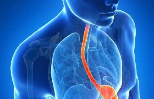 Asit Reflüsünün 10 İlginç Belirtisi