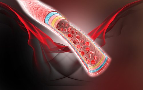 hindistan cevizi suyu içmenin kan dolaşımına faydası