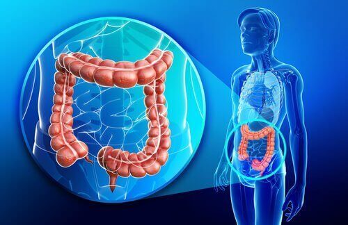 Crohn Hastalığı ile İlgili Bilmeniz Gerekenler