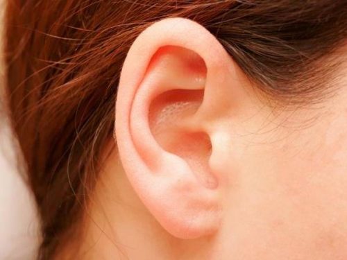 kulaklarınız önemli bilgiler verir