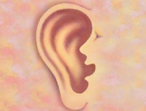 Kulaklarınız Sizin Hakkınızda Ne Söylüyor?