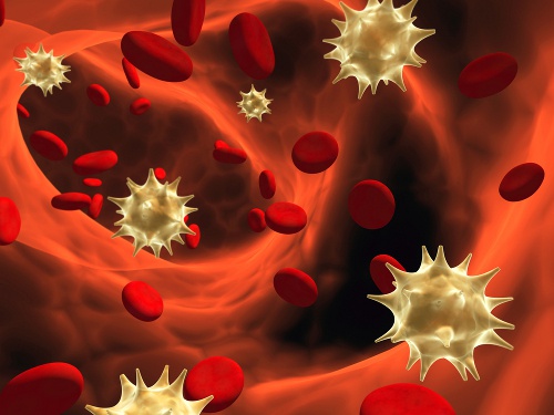 kırmızı kan hücreleri