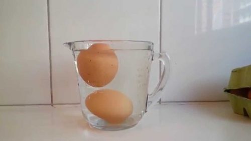 yumurtayı suya koyun