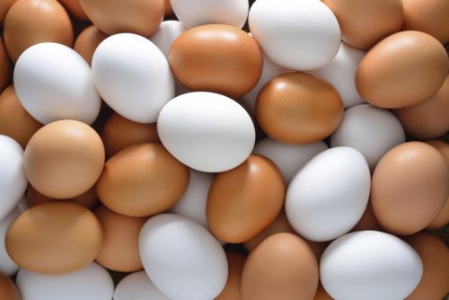 beyaz ve kahverengi yumurta