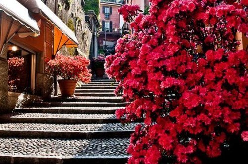 şehrin içinde taş merdivenler