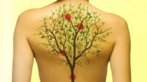 Organlarınız ve Duygularınız Nasıl İlişkilidir?