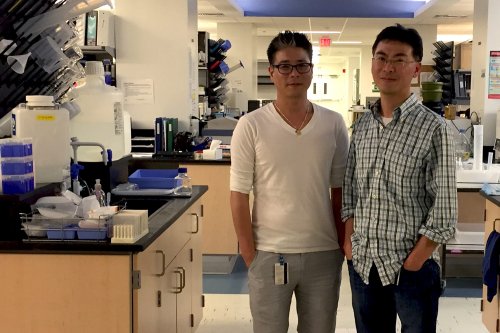 akciğer kanseri doktorları